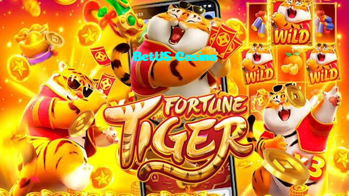 available types of BetUS Casino bet including pre-match live express and system bets